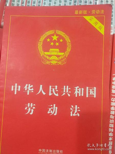 中华人民共和国劳动法最新版深度解读